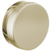 Brizo RP103313BL Mystix Round Steam Head