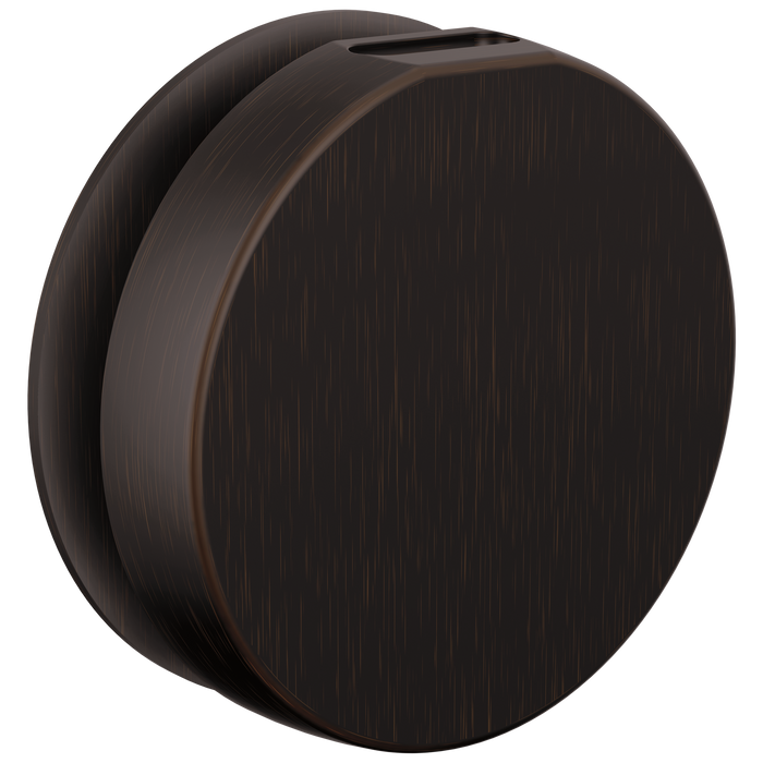 Brizo RP103313BL Mystix Round Steam Head