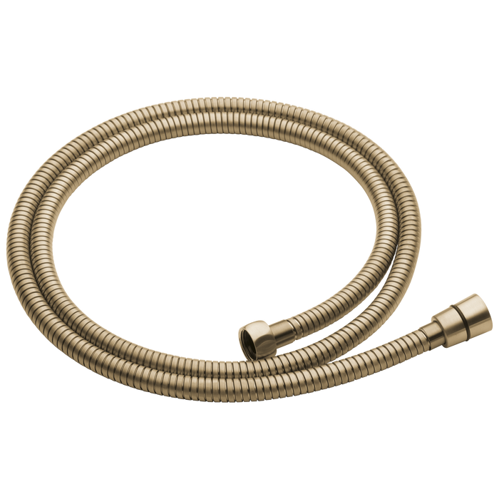 Brizo Essential Shower RP49645BL Handshower Hose And Gaskets