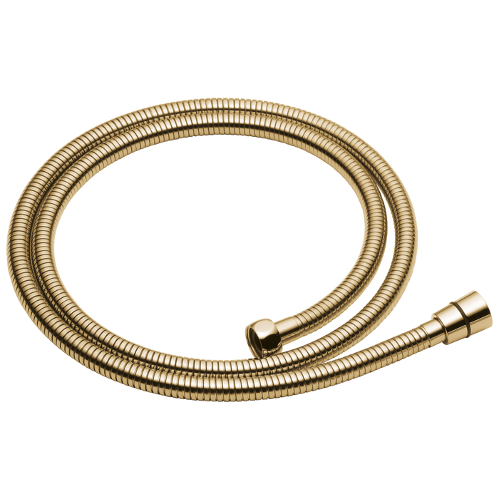 Brizo Essential Shower RP49645BL Handshower Hose And Gaskets