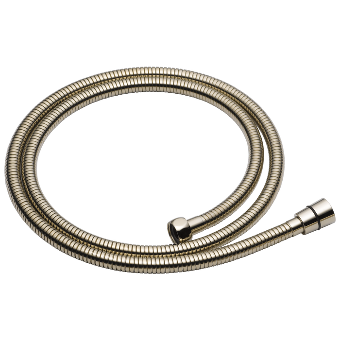 Brizo Essential Shower RP49645BL Handshower Hose And Gaskets