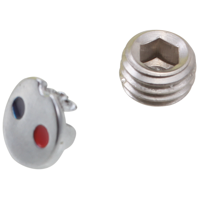 Brizo Belo RP50585SS Set Screw and Button