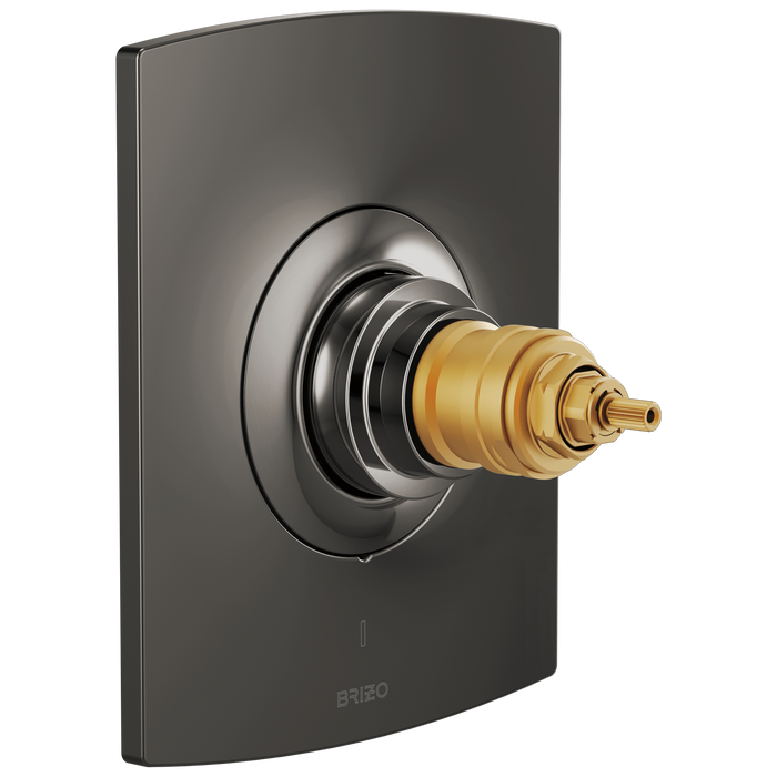 TempAssure Thermostatic Valve Only Trim - Less Handles
