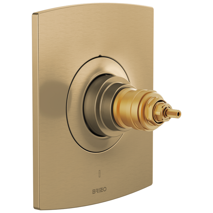 TempAssure Thermostatic Valve Only Trim - Less Handles