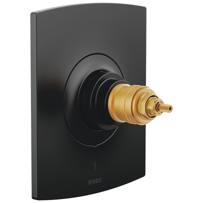 TempAssure Thermostatic Valve Only Trim - Less Handles