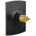 TempAssure Thermostatic Valve Only Trim - Less Handles