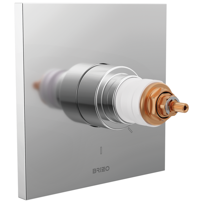 TempAssure Thermostatic Valve Only Trim - Less Handles