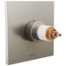 TempAssure Thermostatic Valve Only Trim - Less Handles