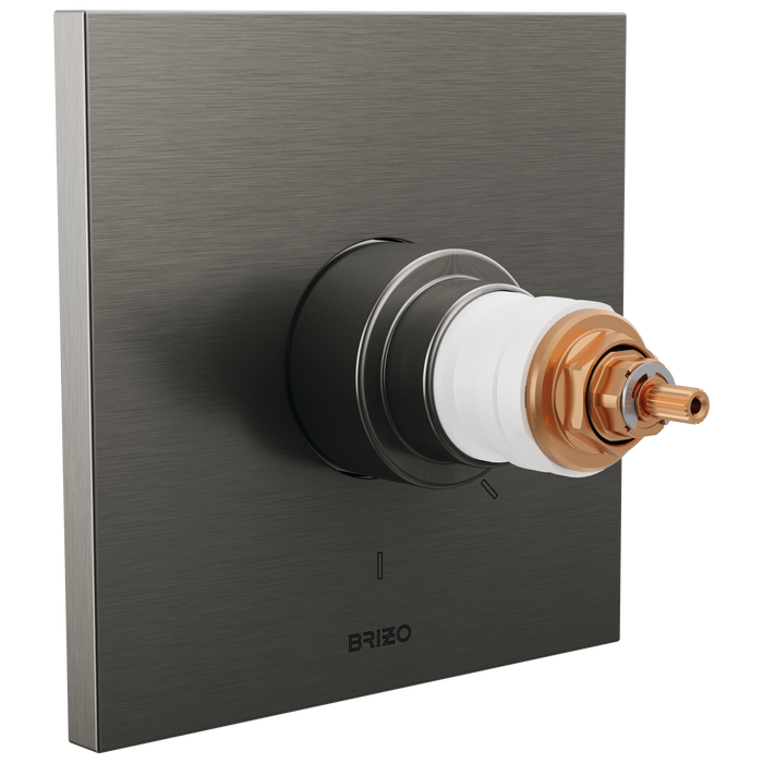 TempAssure Thermostatic Valve Only Trim - Less Handles