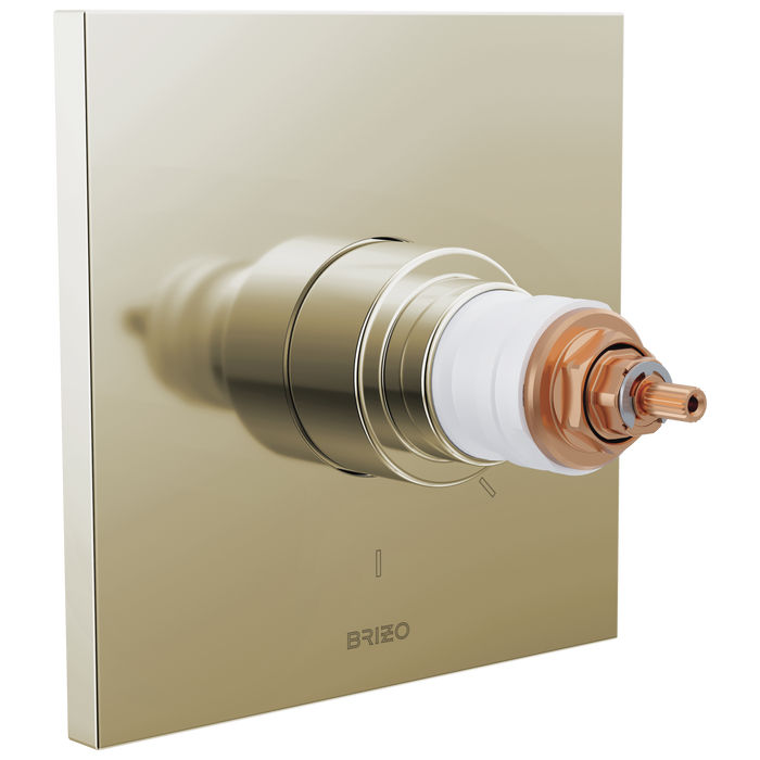 TempAssure Thermostatic Valve Only Trim - Less Handles
