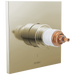 TempAssure Thermostatic Valve Only Trim - Less Handles