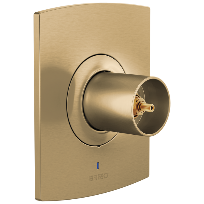 Pressure Balance Valve Only Trim - Less Handle