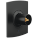 Pressure Balance Valve Only Trim - Less Handles