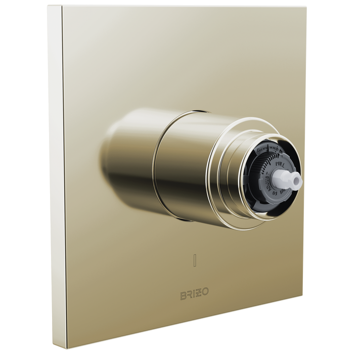Pressure Balance Valve Only Trim - Less Handle