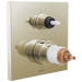 TempAssure Thermostatic Valve with 6-Function Integrated Diverter Trim - Less Handles