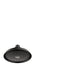 hansgrohe Joleena Showerhead 150 1-Jet, 1.75 GPM