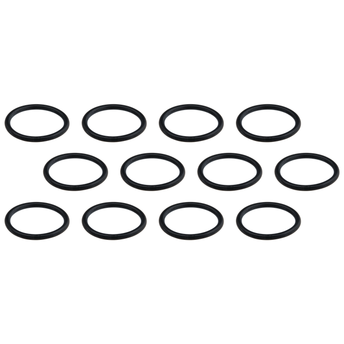 16016 O-Rings - Quantity 12