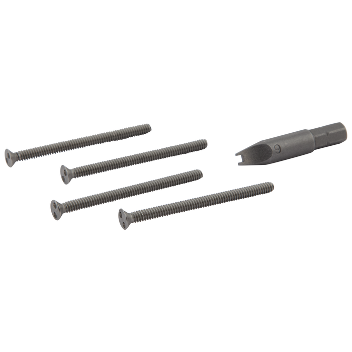 Vandal-Resistant Screws and Driver Package - Number 6