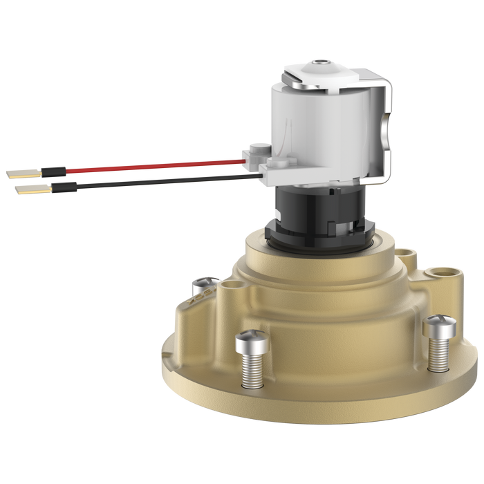 4.2L (1.1gal) Fixed Cap Assembly for E-81T-MMO