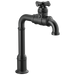True Bar Kitchen Faucet