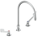 WIDESPREAD GOOSENECK
