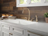 Delta Cassidy:2497LF Two Handle Kitchen Faucet with Spray