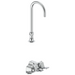 Wallmount Double-Pedal Surgeon's Scrub-up with Gooseneck Spout