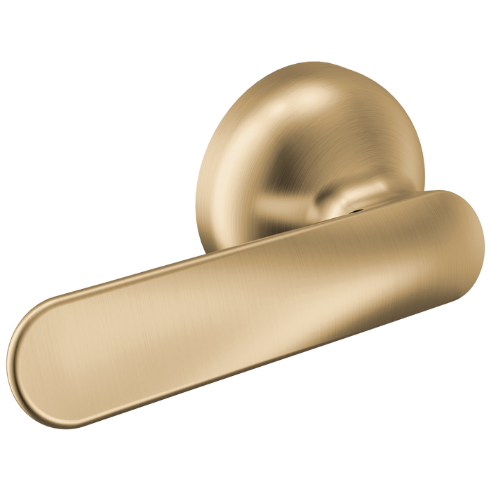 Delta Bonacci 74560 Tank Lever