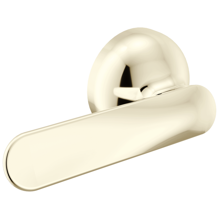 Delta Bonacci 74560 Tank Lever