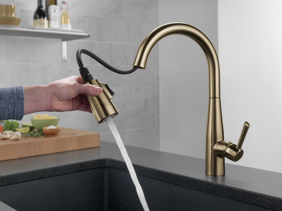 Delta Essa: Single Handle Pull-Down Kitchen Faucet