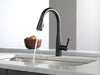 Delta Essa: Single Handle Pull-Down Kitchen Faucet