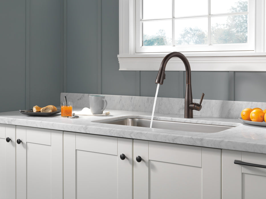 Delta Essa: Single Handle Pull-Down Kitchen Faucet