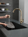 Delta Essa 9113T Single Handle Pull-Down Kitchen Faucet with TouchTouch 2O Technology
