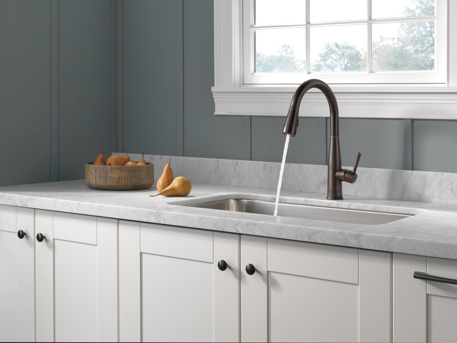 Delta Essa 9113T Single Handle Pull-Down Kitchen Faucet with TouchTouch 2O Technology
