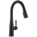 VoiceIQ Single Handle Pull-Down Faucet with TouchTouch 2O Technology