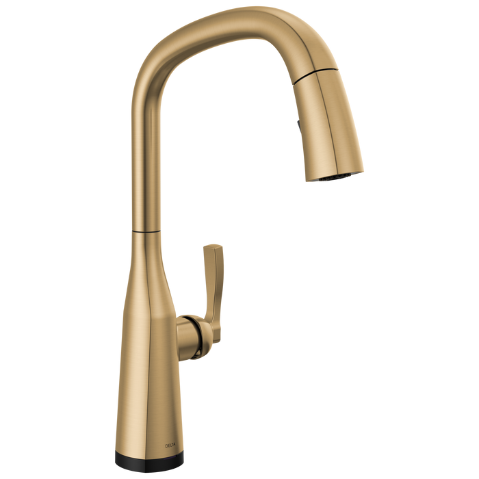 TouchTouch 2O Pull-Down Kitchen w/ Voice