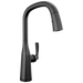 TouchTouch 2O Pull-Down Kitchen w/ Voice