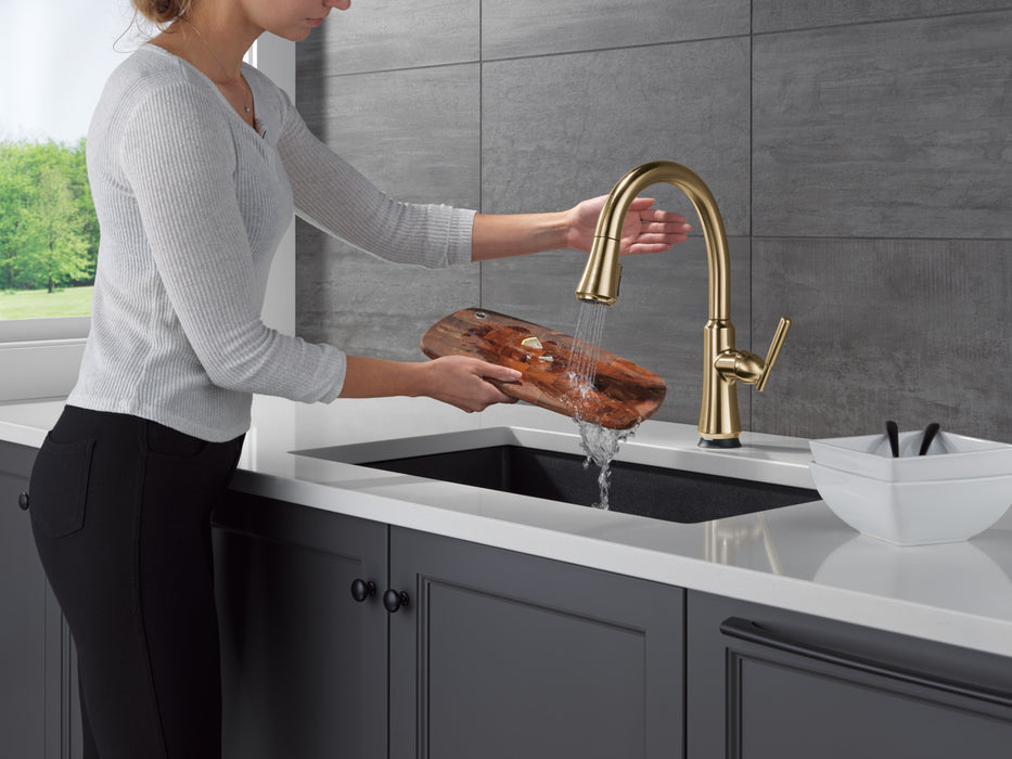 Delta Coranto: Touch2O Kitchen Faucet with Touchless Technology