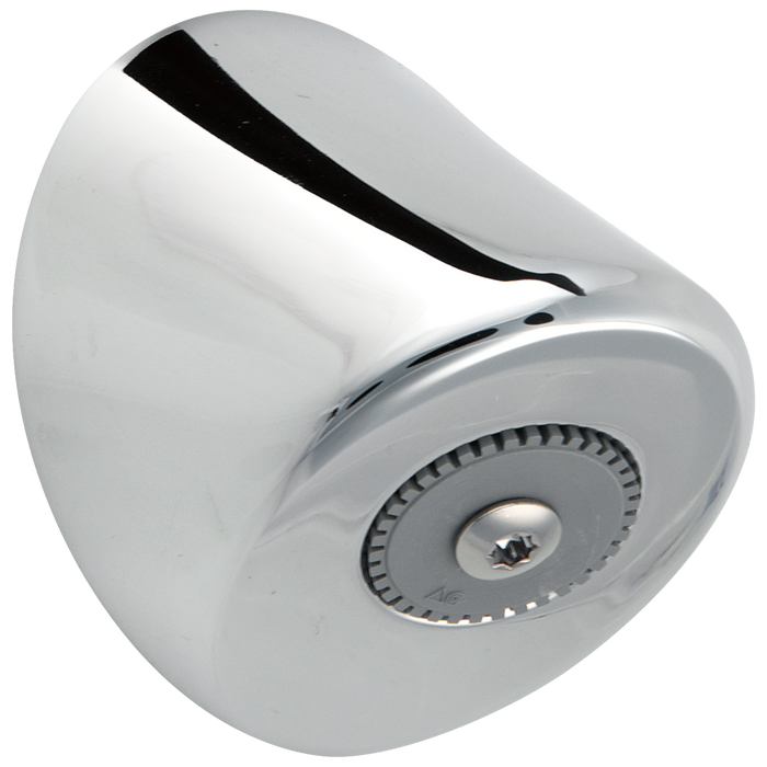 Commercial Instit Parts 063196A 1.5 GPM Wallmount Showerhead Complete