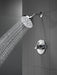 Delta Nicoli: Monitor 14 Series H2Okinetic Shower