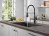 Delta Theodora 18804Z Single-Handle Pull-Down Spring Kitchen Faucet
