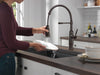 Delta Theodora 18804Z Single-Handle Pull-Down Spring Kitchen Faucet