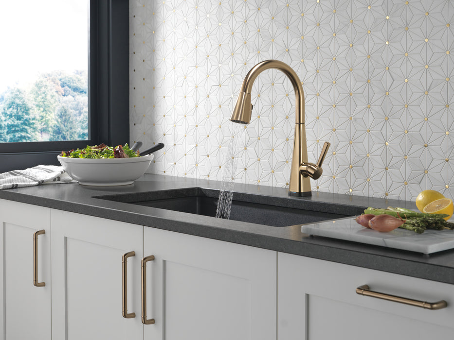 Delta Lenta 19802TZ Single-Handle Pull-Down Kitchen Faucet with TouchTouch 2O Technology