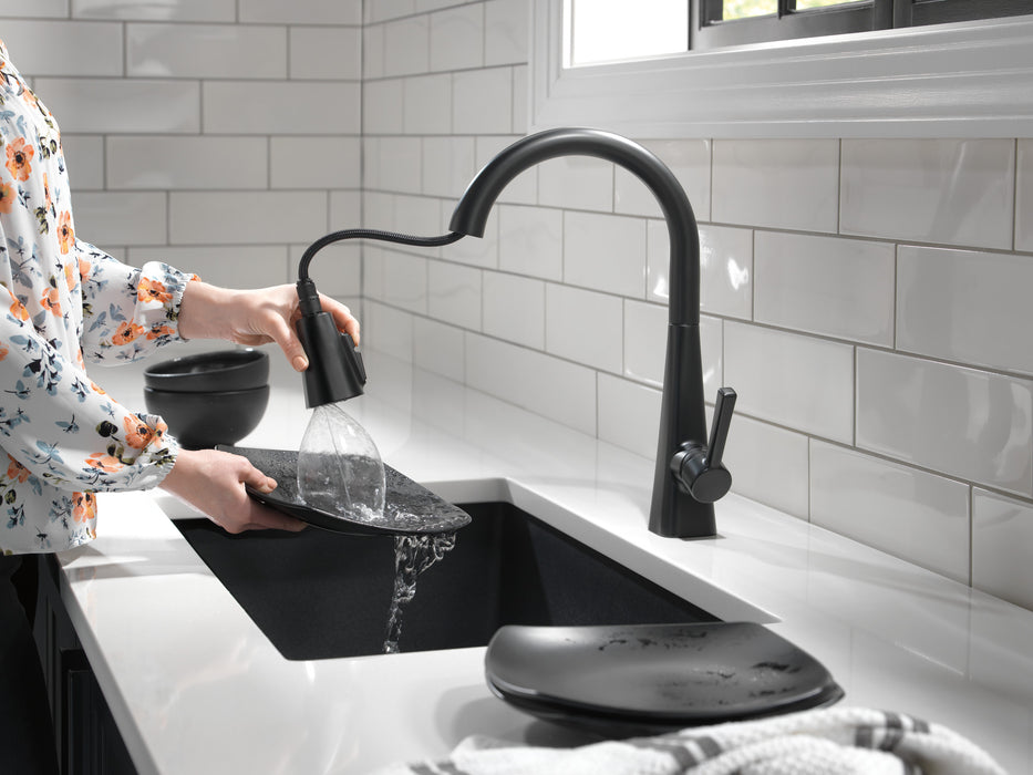 Delta Lenta 19802Z Single-Handle Pull-Down Kitchen Faucet