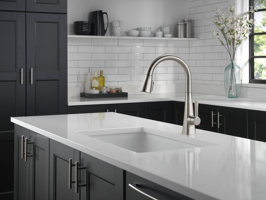 Delta Lenta 19802Z Single-Handle Pull-Down Kitchen Faucet