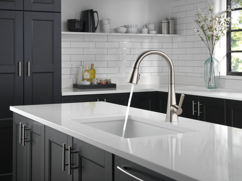 Delta Lenta 19802Z Single-Handle Pull-Down Kitchen Faucet