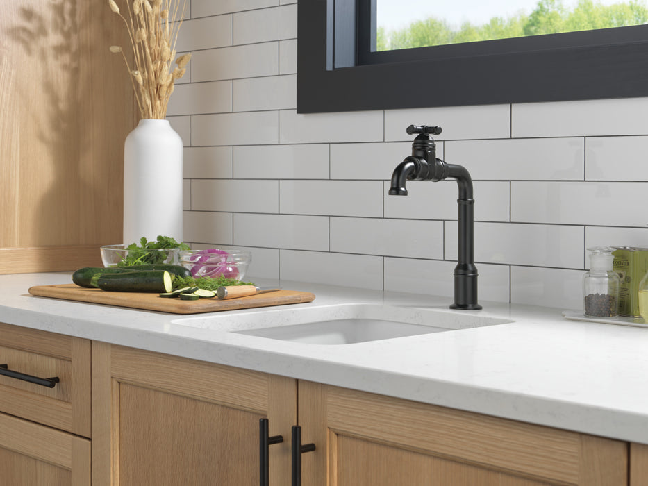 Delta Broderick: True Bar Kitchen Faucet