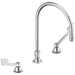 Commercial 23C6 23C645 Widespread Gooseneck