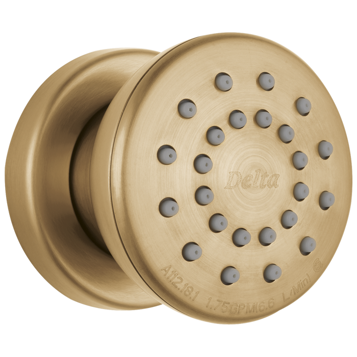 Delta 50102 Surface Mount Body Spray, champagne bronze