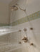 Delta 50102 Surface Mount Body Spray, champagne bronze - view 4